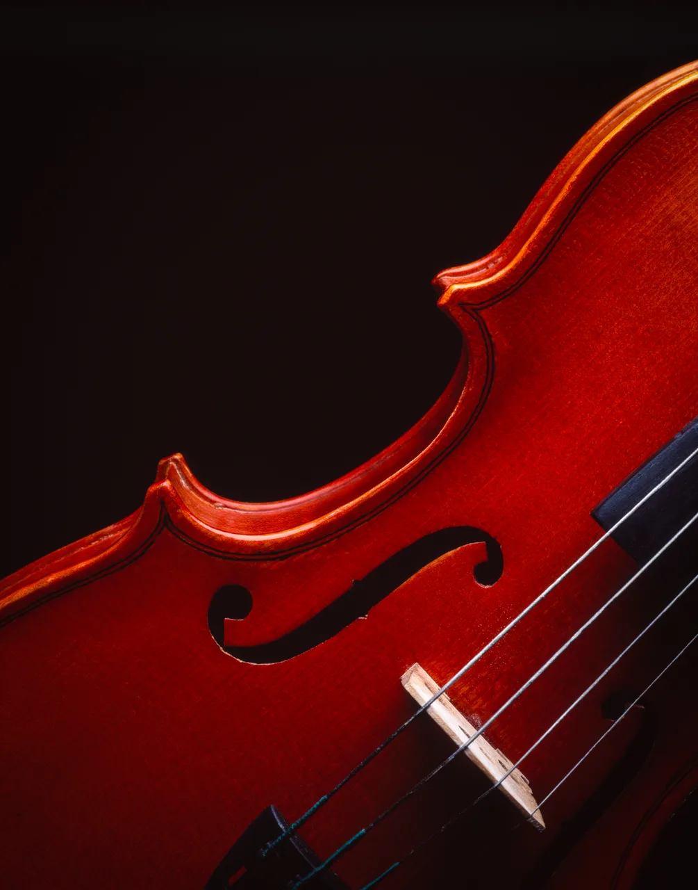 Violin