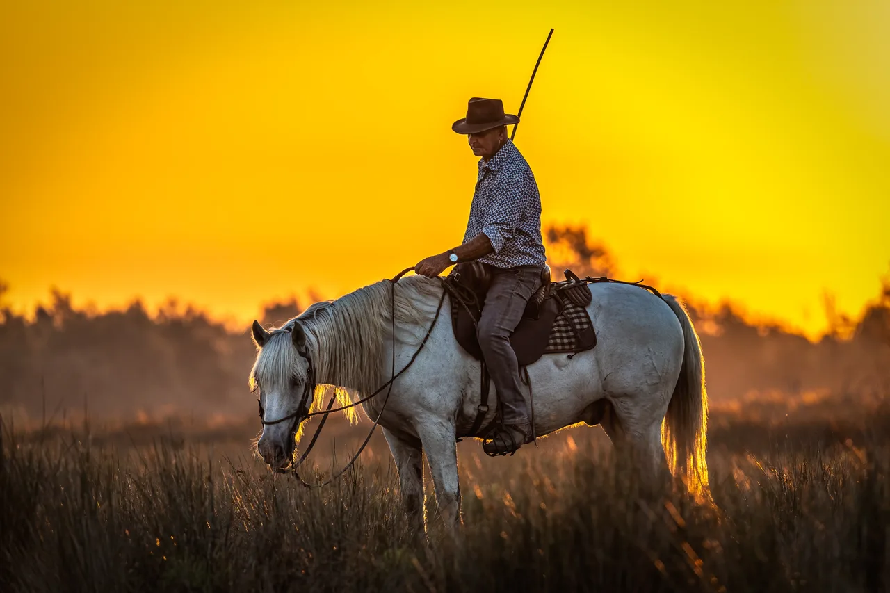 France 2023 - Camargue - Aigues-Mortes 4