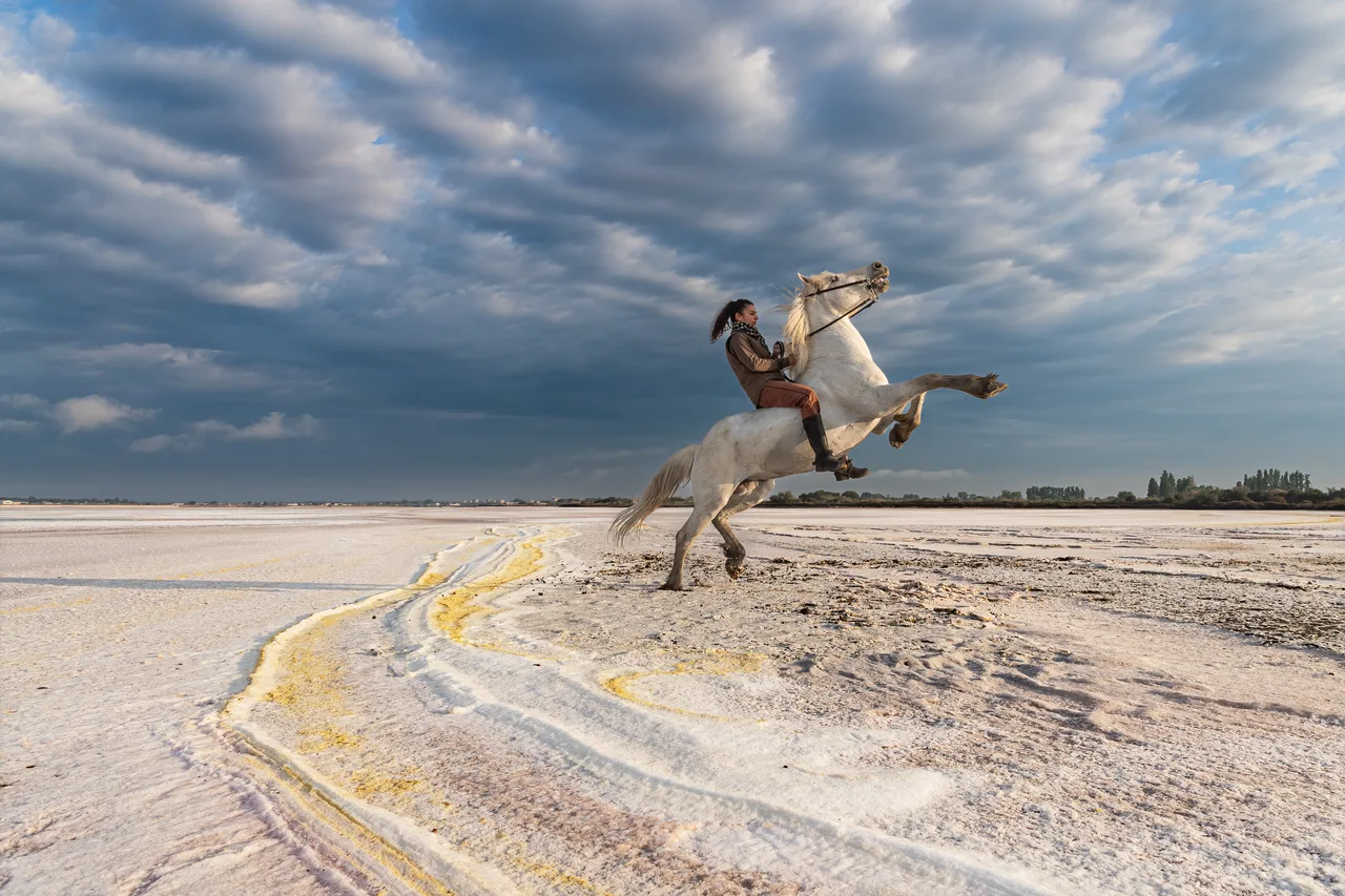 Pascal-Meerpoel-Camargue horses 6