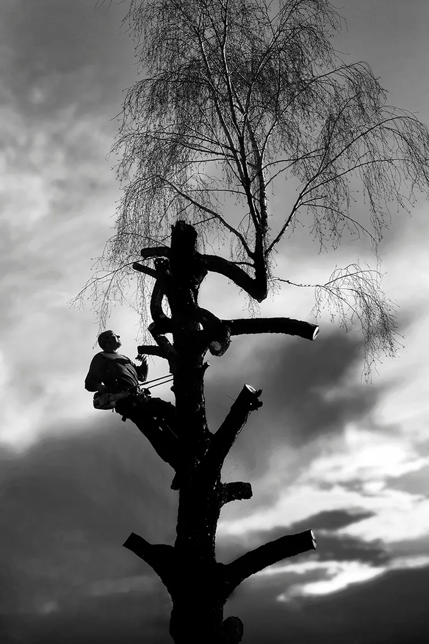 geen_31