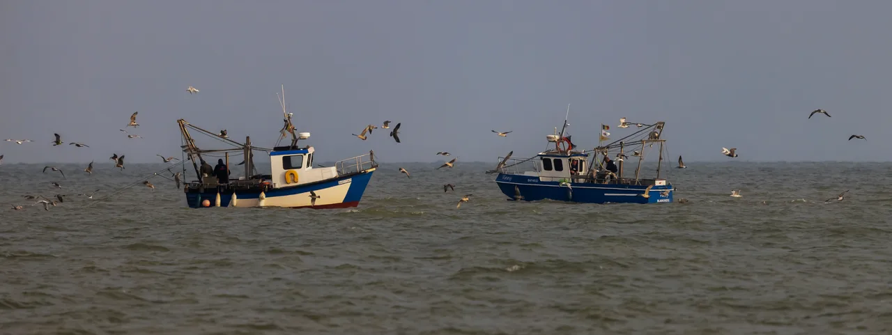 Vissersboten op zee