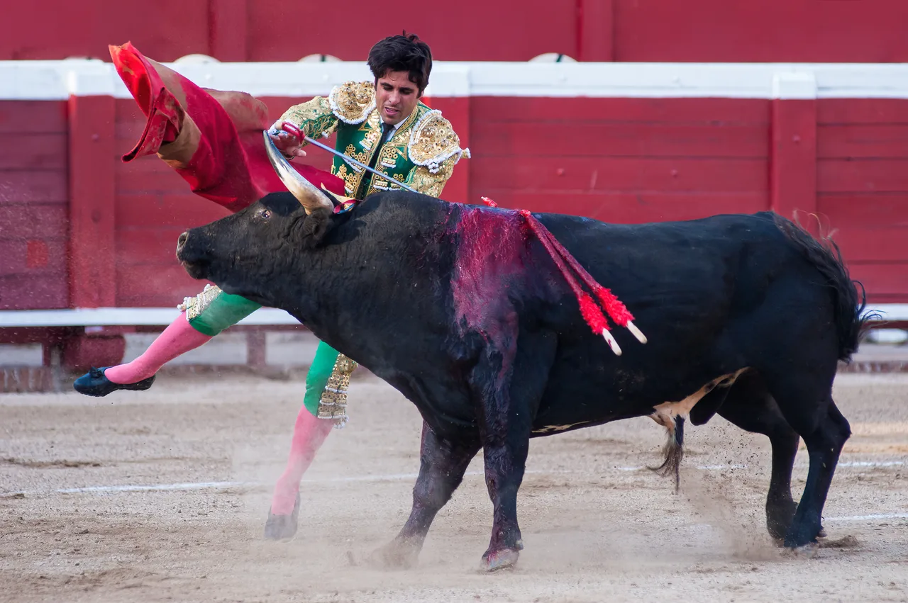 Spain 2004 - Matador 1