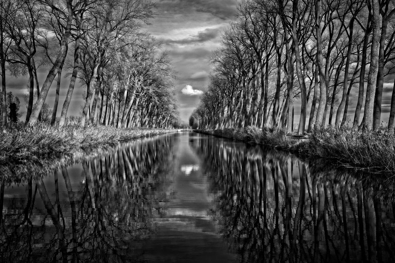 Damse vaart