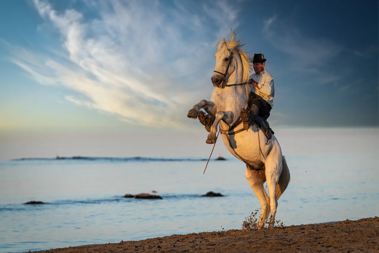 Pascal-Meerpoel-Camargue horses 8
